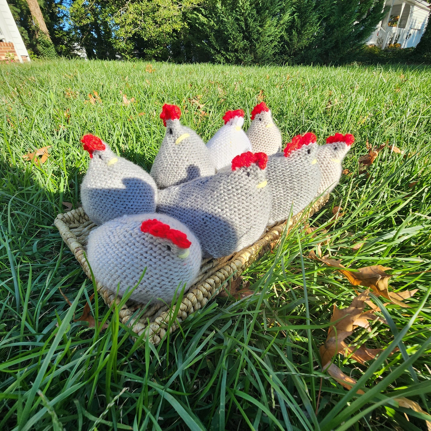 Barnyard Knitted Chicken